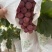 礼泉唐昭陵汤房坡一级精品红提；糖度高，口感好耐运输
