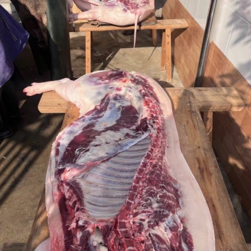纯粮食猪，没喂过饲料，养了一年多，正宗土猪肉