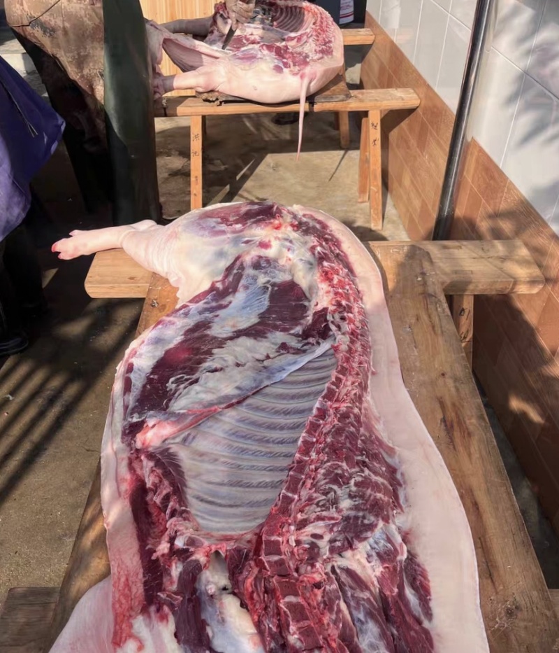 纯粮食猪，没喂过饲料，养了一年多，正宗土猪肉