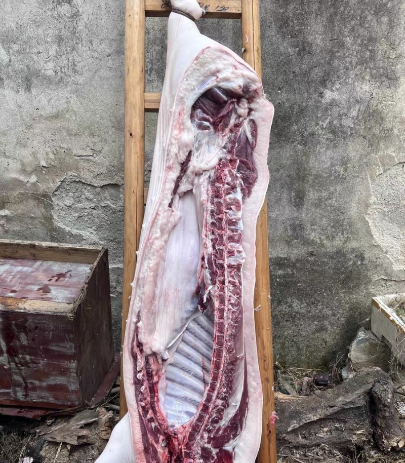 纯粮食猪，没喂过饲料，养了一年多，正宗土猪肉