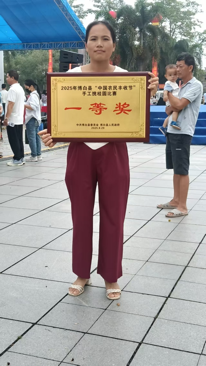 广西玉林桂圆肉/桂圆干龙眼肉/无核无壳/干度好甜度高