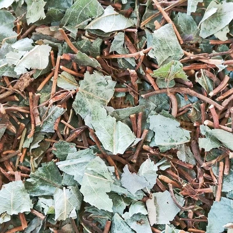 平地木不出林中药材矮地茶新货叶下红紫金牛优质平地木包