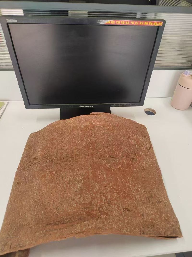 广西桂皮产地直发桂段桂碎肉桂规格齐全欢迎选购