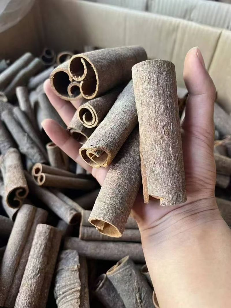 广西桂皮产地直发桂段桂碎肉桂规格齐全欢迎选购