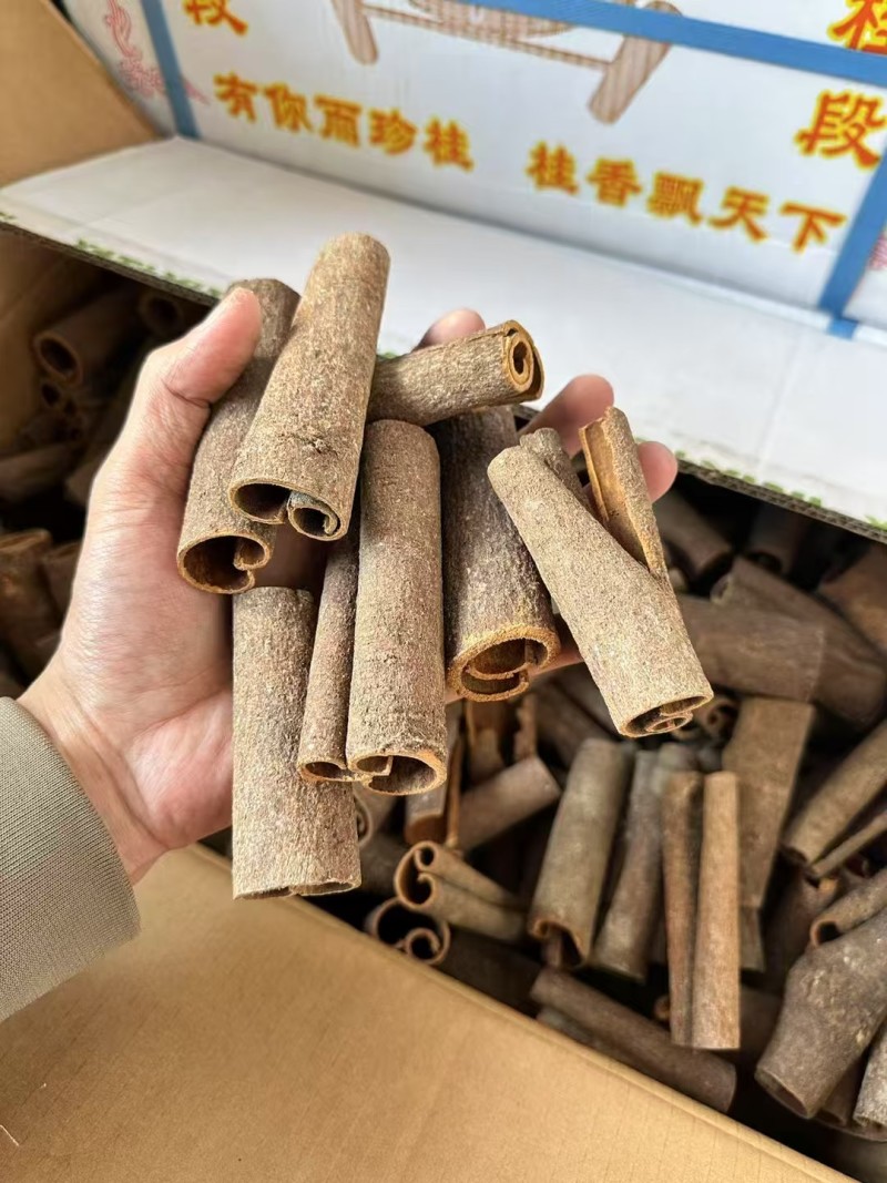 广西桂皮产地直发桂段桂碎肉桂规格齐全欢迎选购