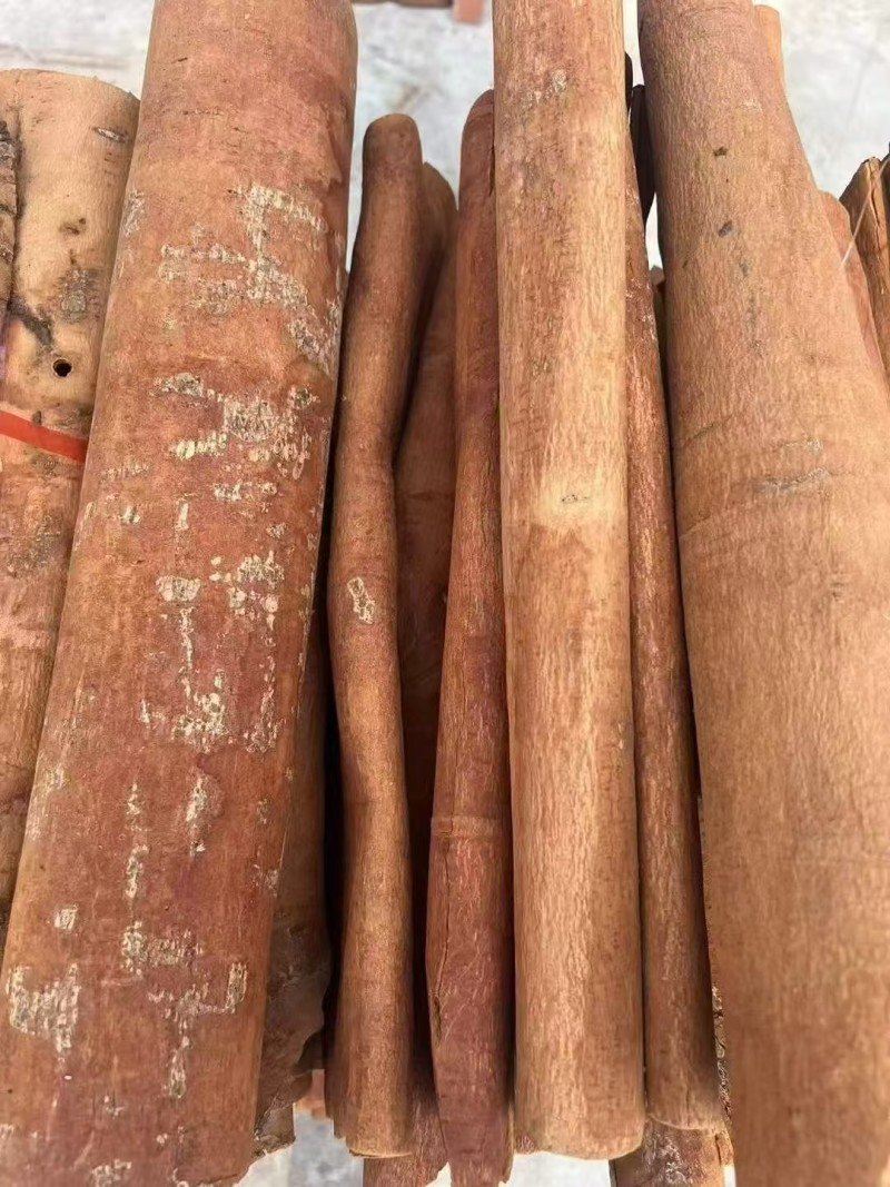广西桂皮产地直发桂段桂碎肉桂规格齐全欢迎选购