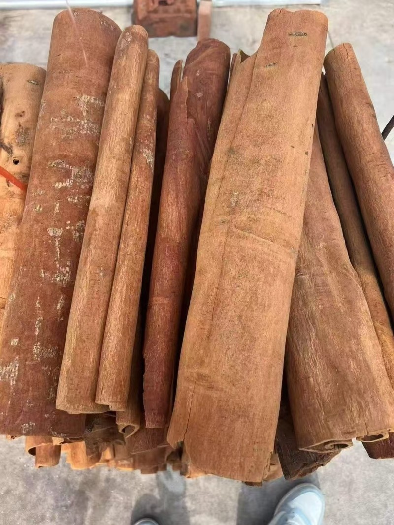 广西桂皮产地直发桂段桂碎肉桂规格齐全欢迎选购
