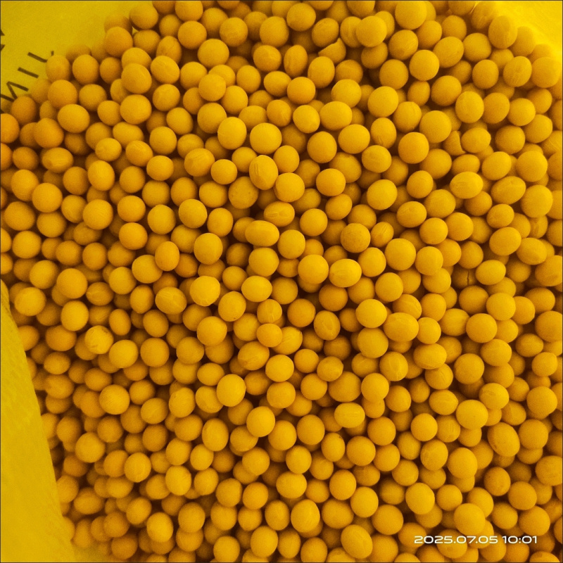 黄豆大量出售