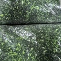 荠菜馅速冻荠菜品质保障欢迎各地老板咨询考察全国发货