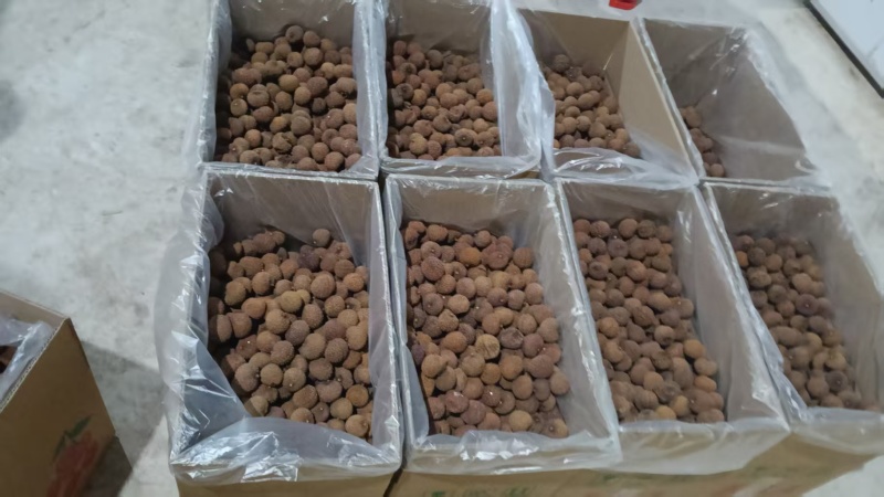 广西荔枝干荔枝肉对接电商平台支持一件代发欢迎选购