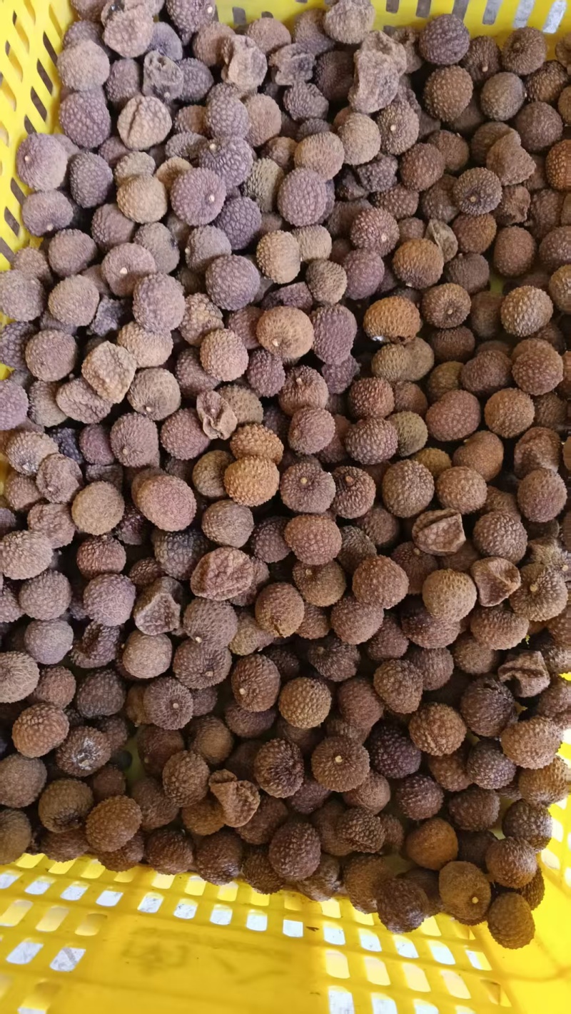 广西荔枝干荔枝肉对接电商平台支持一件代发欢迎选购