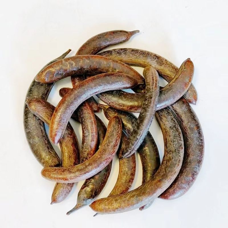 猪牙皂角中药材小皂角皂荚皂角小牙皂新货小皂荚猪牙皂