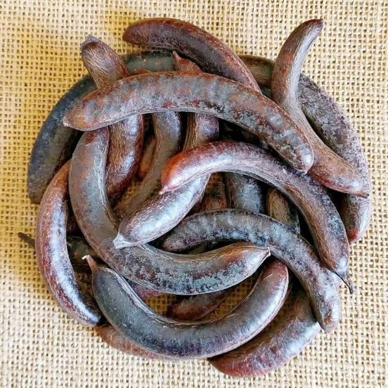 猪牙皂角中药材小皂角皂荚皂角小牙皂新货小皂荚猪牙皂