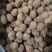 广西玉林荔枝干货量充足常年供货对接电商欢迎选购