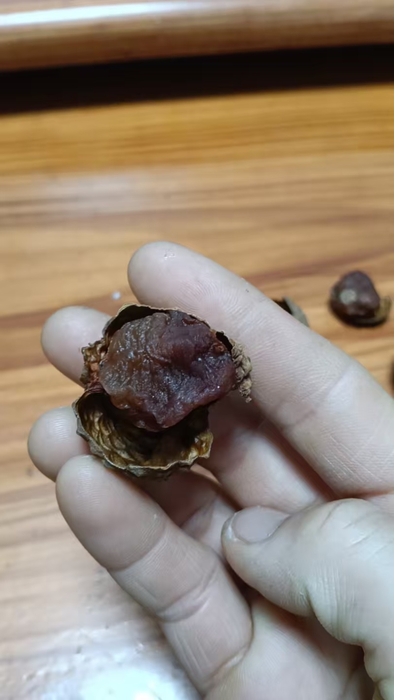 广西玉林荔枝干货量充足常年供货对接电商欢迎选购