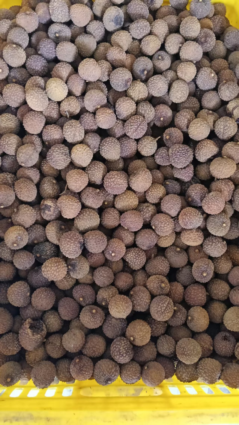 广西玉林荔枝干货量充足常年供货对接电商欢迎选购