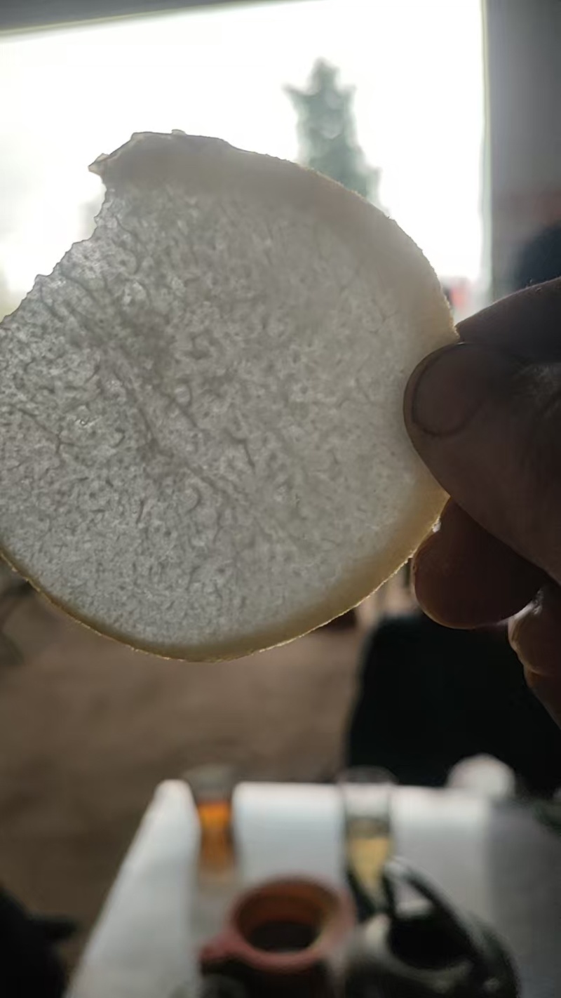 秋月梨大量有货产地直发保质保量一手货源服务周到