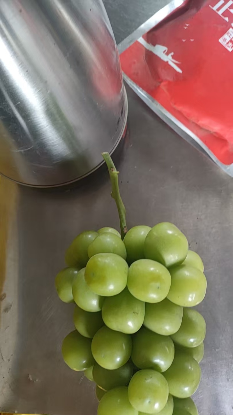 阳光玫瑰大量上市货源充足产地直发质量保障