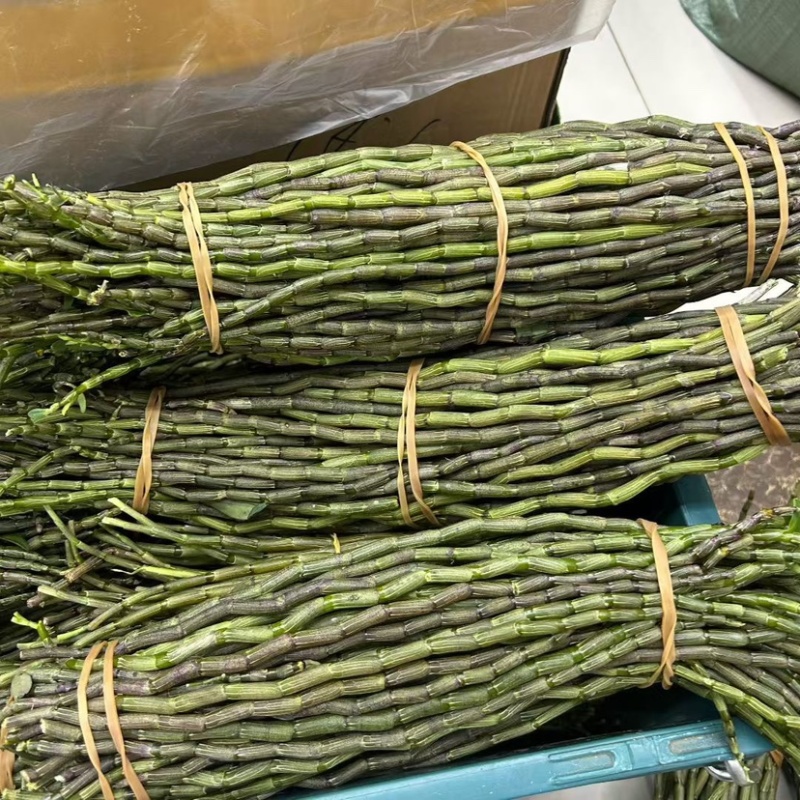 新鲜石斛条胖条石斛粗条铁皮石斛石斛牙条嫩仔霍山石斛胶质好