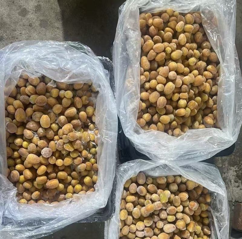 无核黄皮冷库果
