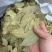 广西香叶产地直发送货上门