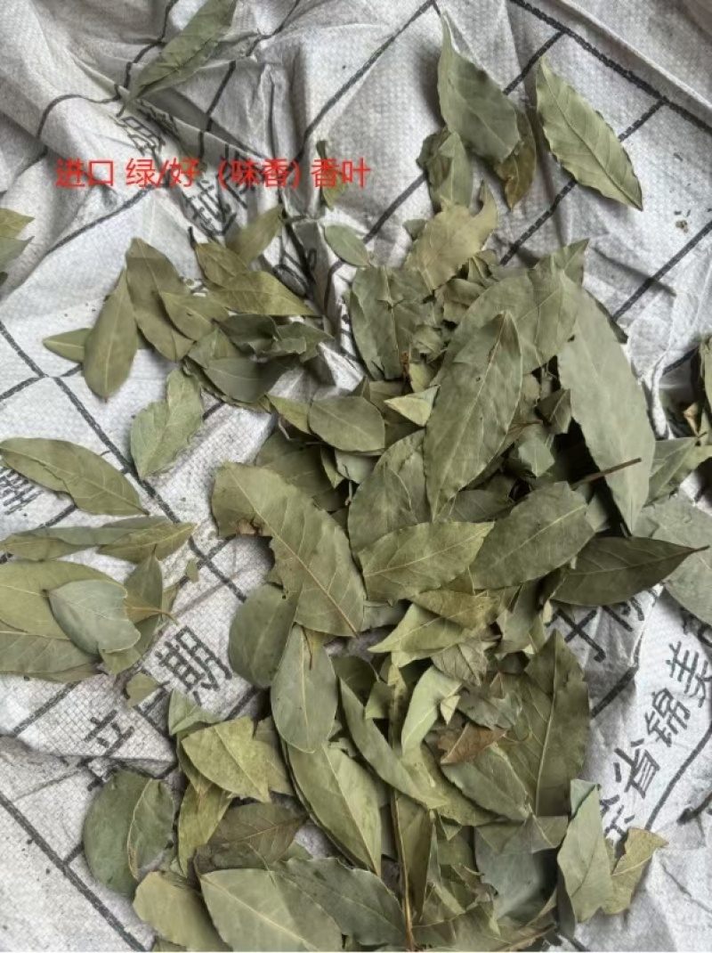 广西香叶产地直发送货上门
