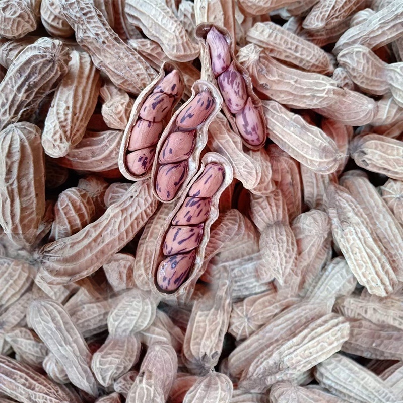 七彩花生普洱富硒花生大量现货颗粒饱满无坏果云南七彩花生