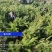 松树\樟子松\苗木种植基地大量种植\对接全国采购商