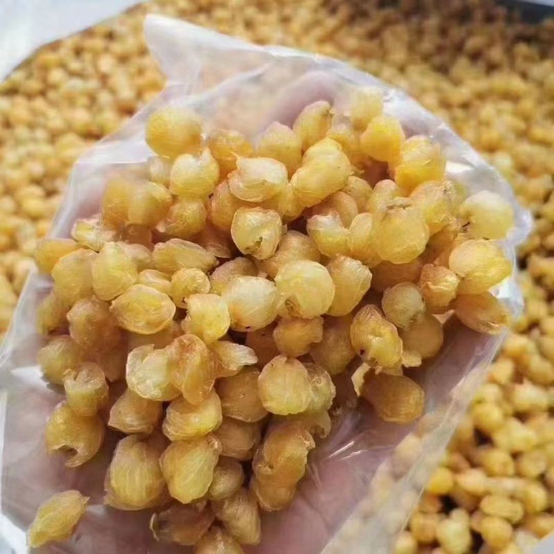 广西桂圆