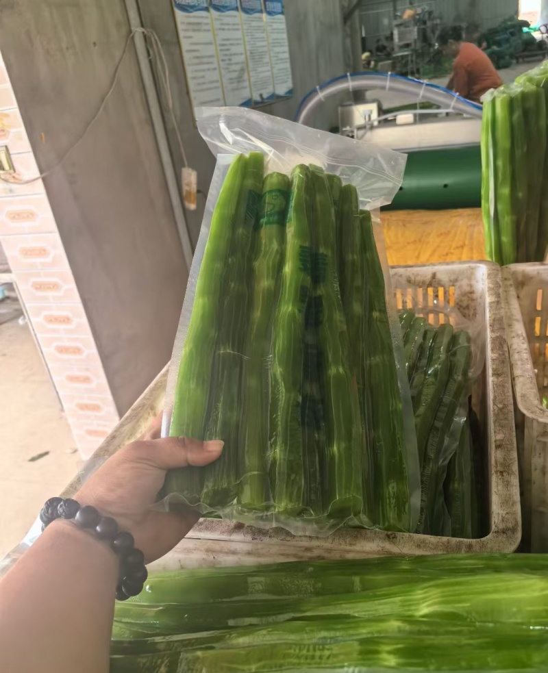 三青皮莴笋，二青去皮莴笋常年供应真空包装全国发货