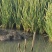 这里是河北唐山丰南区
