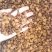 炙甘草规格0.8-1.2颜色好看物美价廉实图拍摄