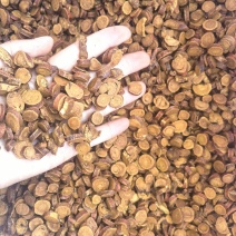 炙甘草规格0.8-1.2颜色好看物美价廉实图拍摄