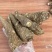 白芷个白芷片免费加工送货上门
