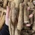 白芷个白芷片免费加工送货上门