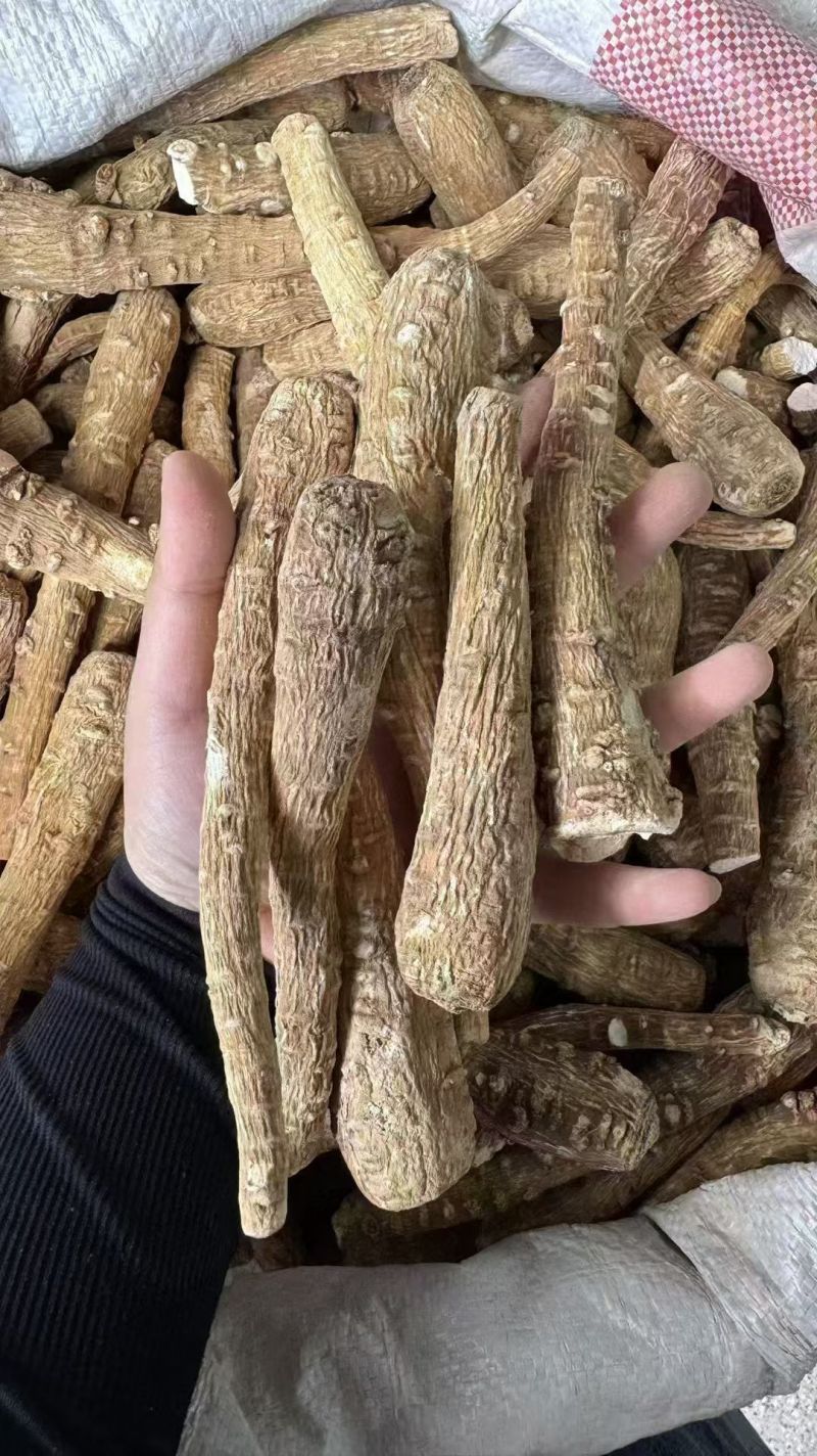 白芷个白芷片免费加工送货上门