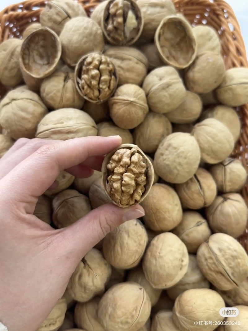 精品185纸皮核桃一手货源量大从优质量保证欢迎咨询