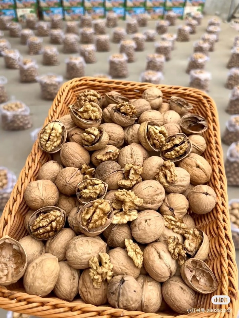 精品185纸皮核桃一手货源量大从优质量保证欢迎咨询