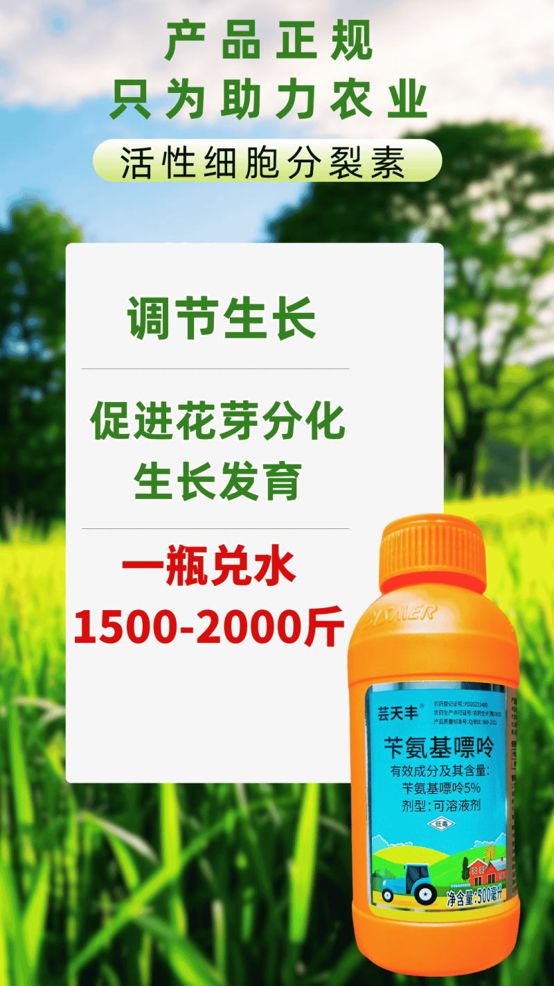 5%苄氨基嘌呤柑橘细胞分裂素绿叶促花芽分化防落果果树促长