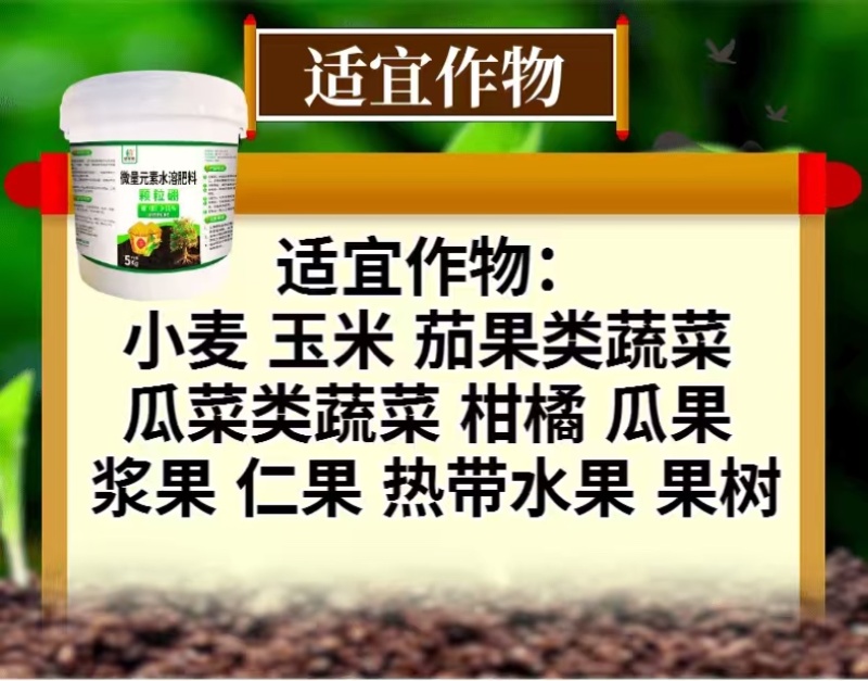 颗粒硼肥长效缓释颗粒硼肥料高促花保果增产防畸形果撒施沟施