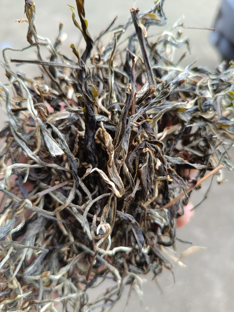 普洱茶晒青生茶