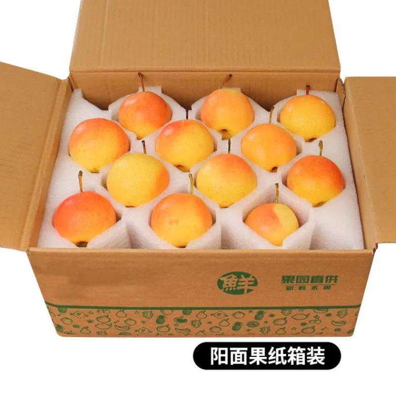 南果梨一件代发