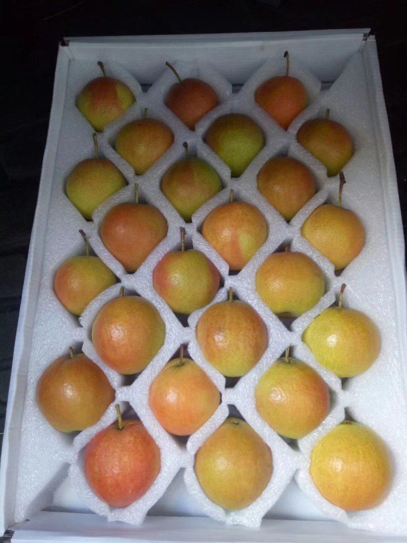 南果梨一件代发