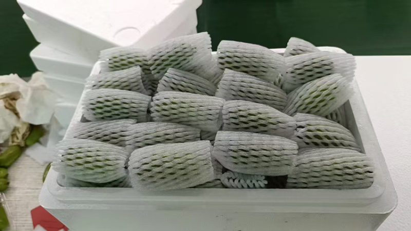 辽宁软枣猕猴桃上新，对接商超市场电商社区团购抖音拼多多