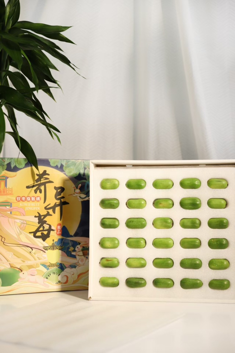 辽宁软枣猕猴桃上新，对接商超市场电商社区团购抖音拼多多