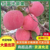 红富士苹果早熟苹果大量上市，口感脆甜保质保量全国发货