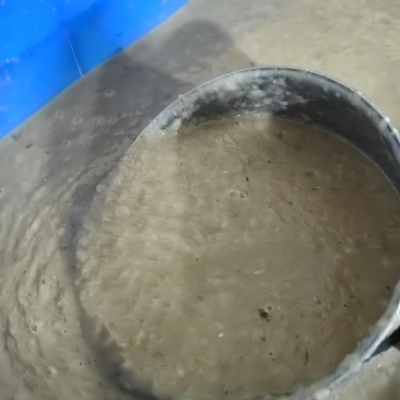 手赶皮皮虾肉，皮皮虾肉泥，对接虾滑、饺子厂家