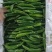 鲜辣椒