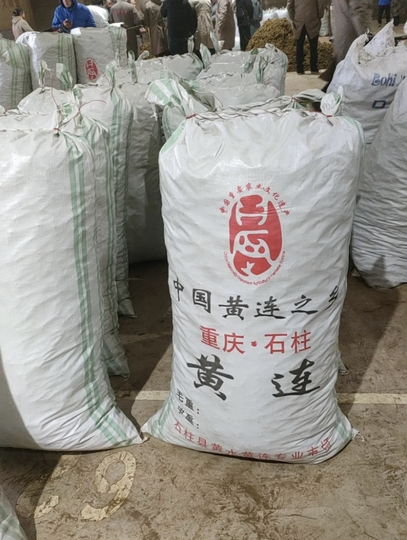 石柱黄莲味莲，一手货源，全国供应，量大从优，诚信经营