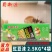 十送一蜀新源豇豆沫2.5千克*4袋整箱商用四川原味豇豆沫